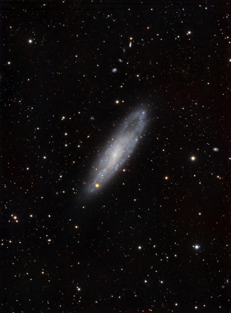 Die Spiralgalaxie NGC247